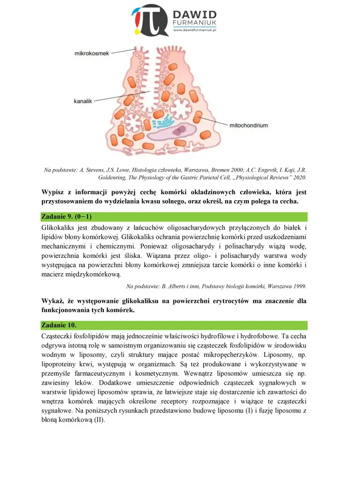 Strona 7 z 9